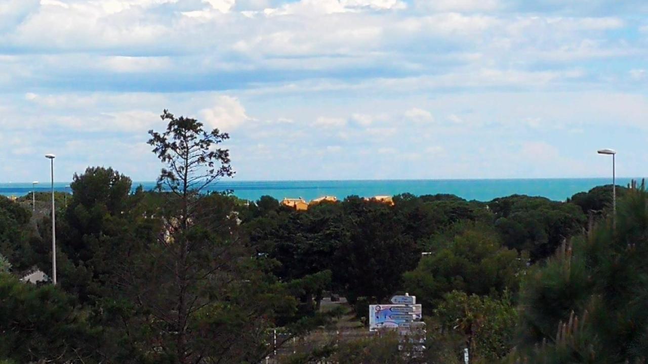 Cap Confort *